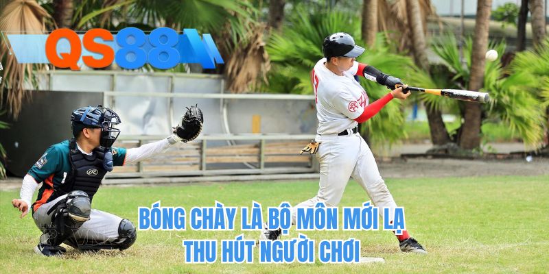 Bóng chày là bộ môn mới lạ thu hút người chơi
